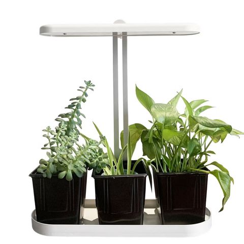 Vekstlys, lampe for planter, drivbenk