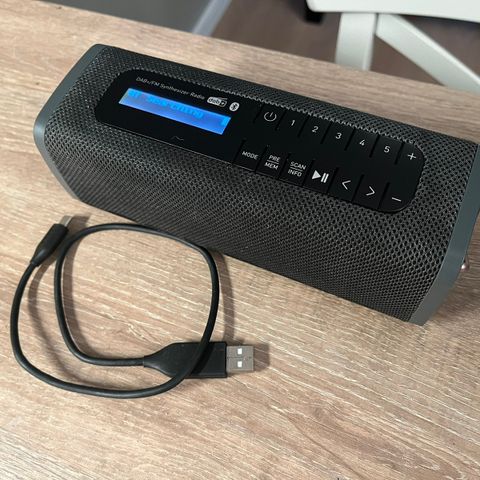 Grundig GLR Bluetooth Hmyttaler