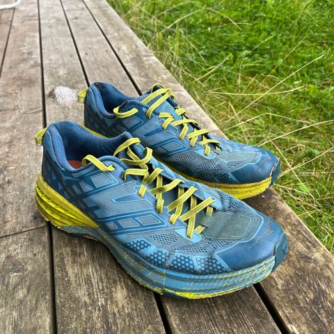 Hoka speedgoat 2