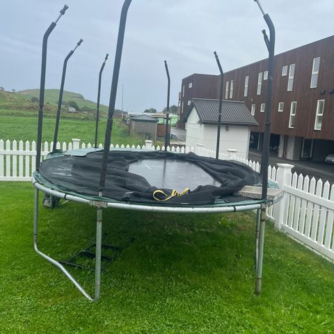 Trampoline oval