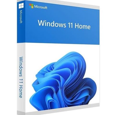 Microsoft Windows 11 home usb