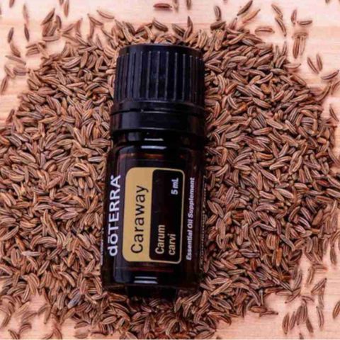 Karve/Caraway eterisk olje doTerra