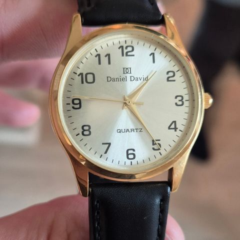 Daniel David Quartz