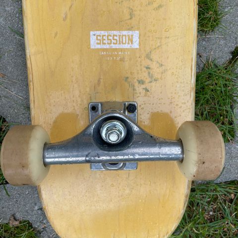 Seshion skateboard