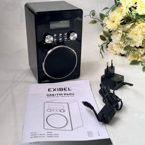 Exibel audio series radio - Digital Audio DX25