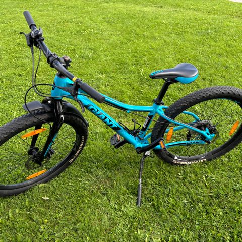 GIANT TXR JR 26+