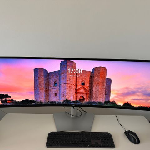 DELL ULTRASHARP U4924DW 49"