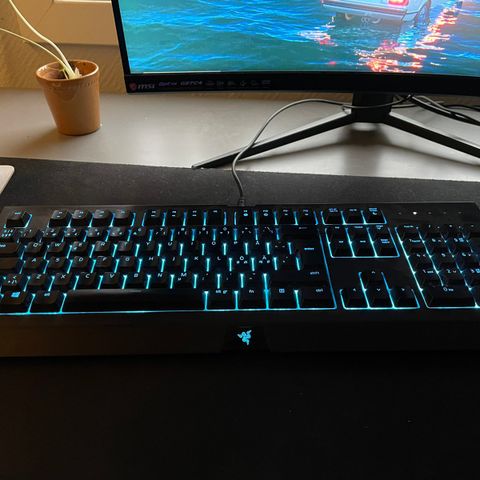 Razer Cynosa Chroma tastatur