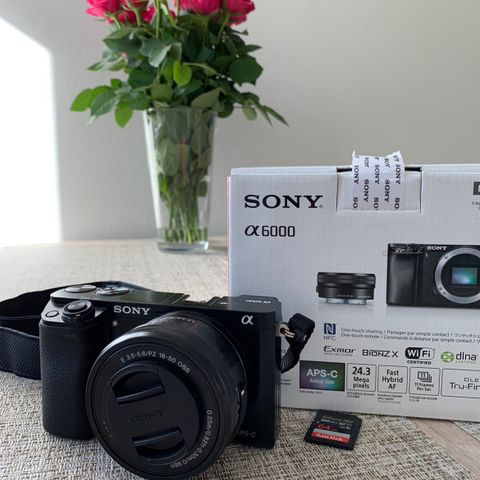 Sony A6000