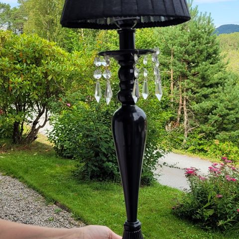 Fin lampe farve sort