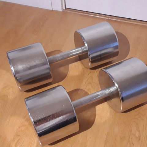 dumbbells 25 kg x 2 - manualer