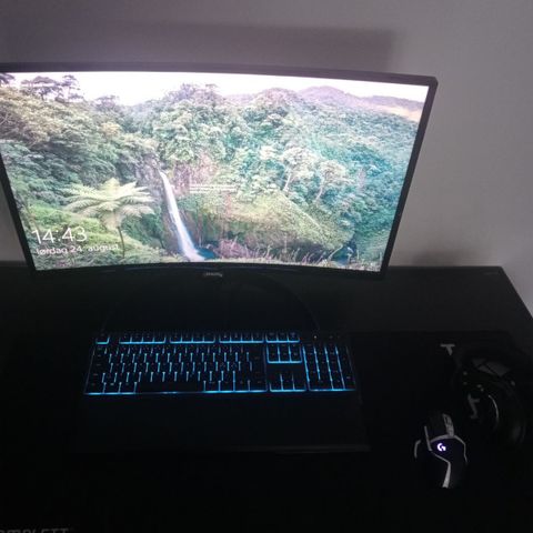 Full gaming setup