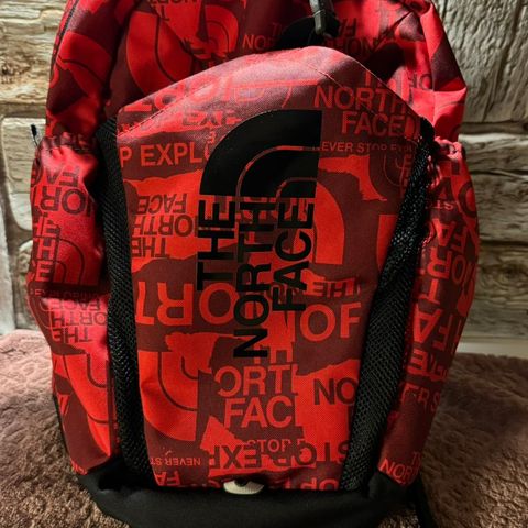 The North Face Mini Recon 19.5L