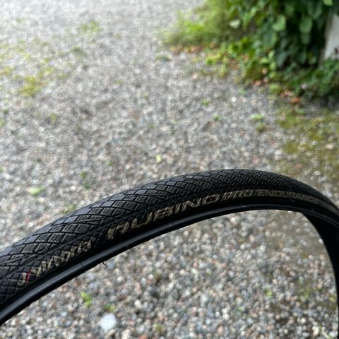 Vittoria Rubino Pro Endurance 700 x 25