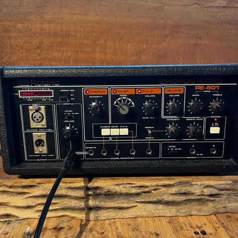 Roland RE-501