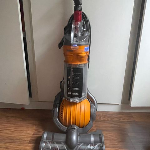 Dyson DC24