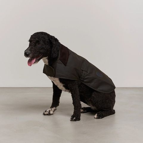 Hundejakke - str S - Barbour Classic Wax Dog Coat Olive S