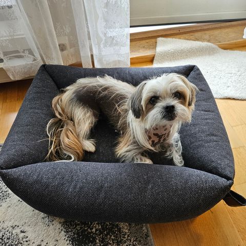 Fantail hundeseng med memory foam