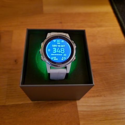 Garmin fenix 5S Plus