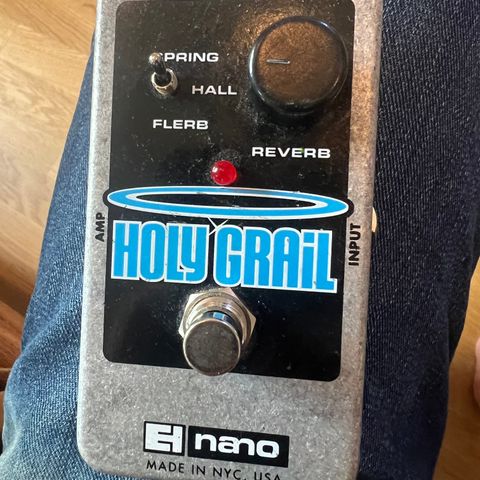 Electro Harmonix Holy Grail Nano