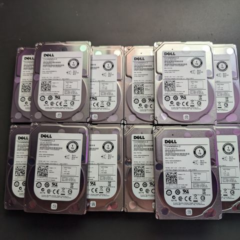 13x 1TB SAS HDD