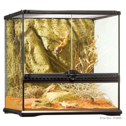 Exo Terra Terrarium Small Wide 30x30x30cm