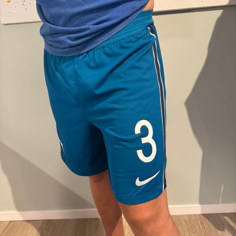 Shorts fra det norske kvinnelandslaget i fotball - Størrelse L - Nike