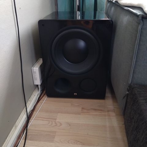 Xtz 12.17 ice edge Blank sort subwoofer.