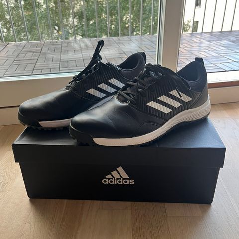 Adidas golfsko