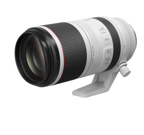 Canon RF100-500mm F/4.5-7.1 L IS USM