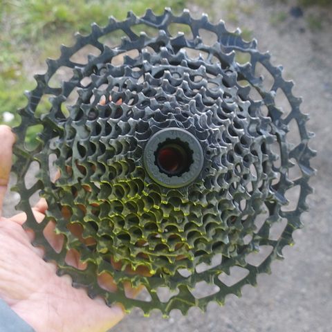 SRAM 12 gir kassett 11-50t