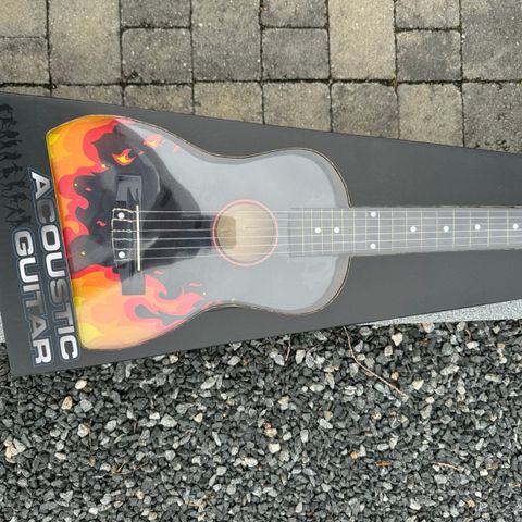 Guitar