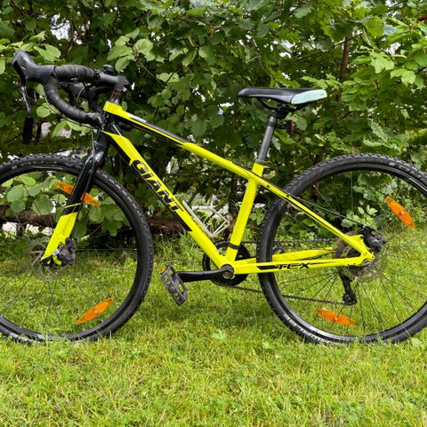 Giant TCX Espoir 26