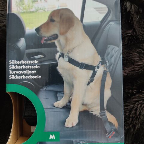 Sikkerhetssele for hund