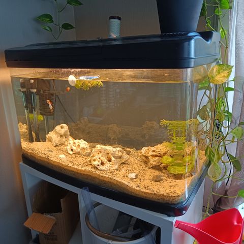 120 liters akvarium