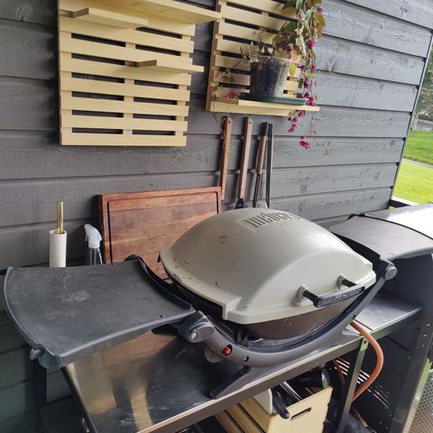 Weber Q200