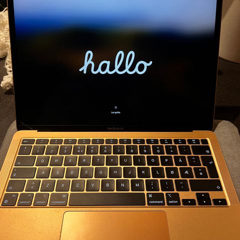 MacBook air 13 gull