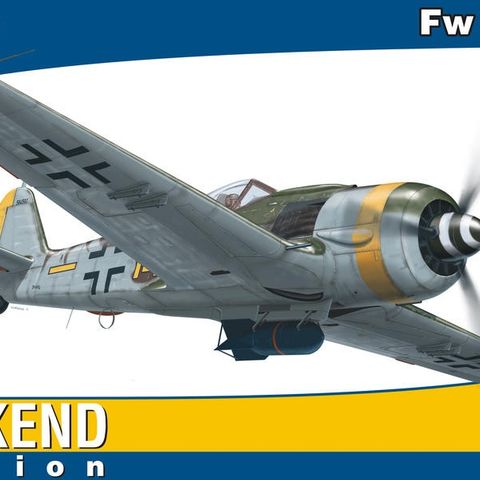 Eduard Fw 190 F-8