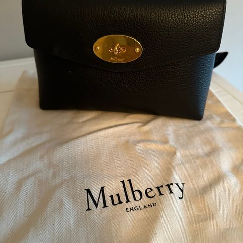 Mulberry sminkepung