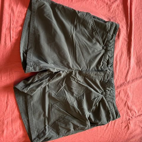 Patagonia turshorts