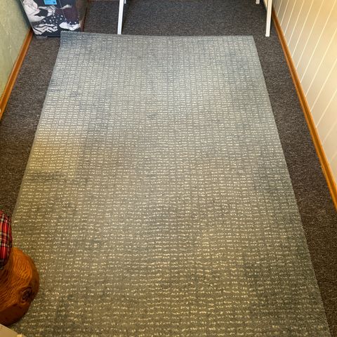 Light blue rug / tepper