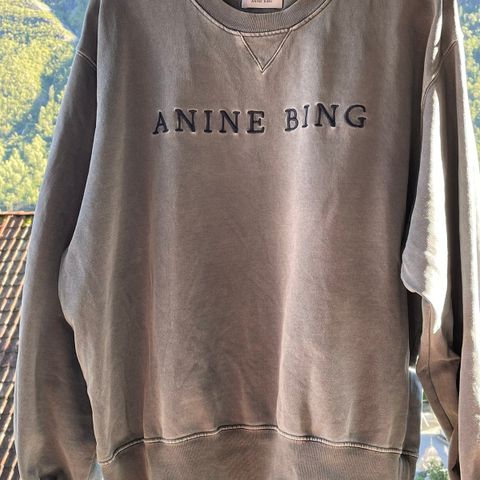 Anine Bing