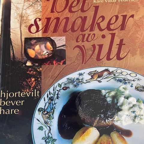 Det smaker av vilt (bok)