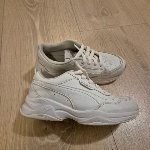 Puma og Nike air