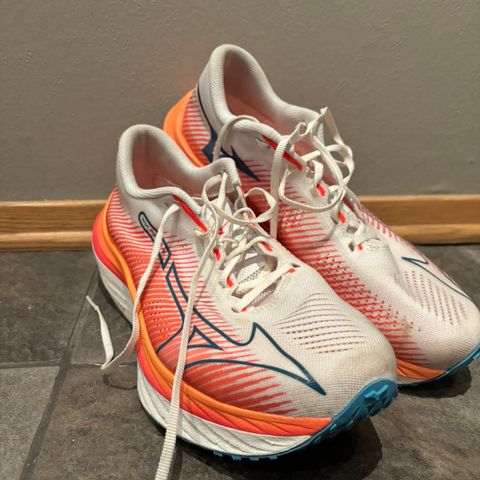 Mizuno Wave Rebellion Pro 41