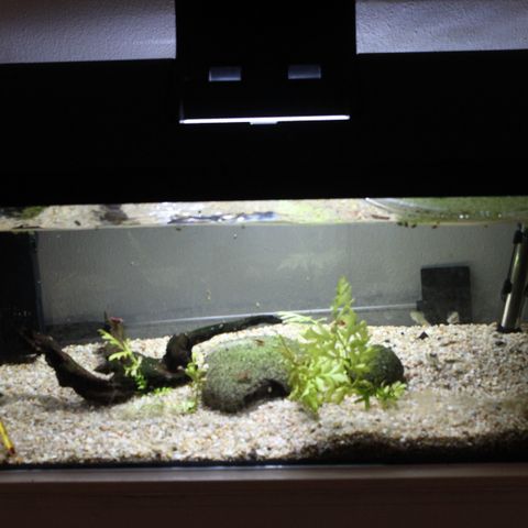 Akvarium