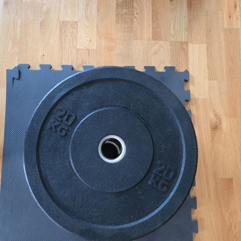 2 stk 20 kg bumperplates