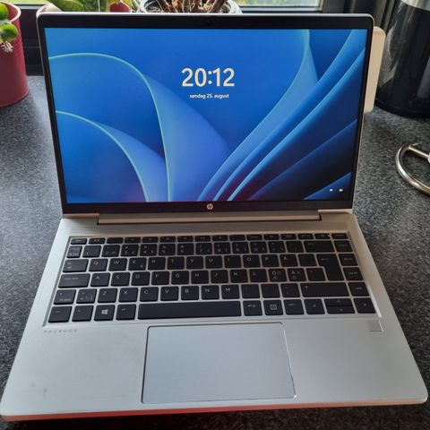 HP probook 445 G8