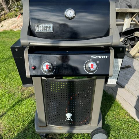 Weber Spirit E210