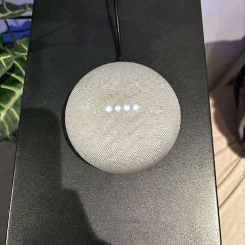 Google home